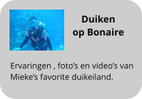Duiken  op Bonaire  Ervaringen , foto’s en video’s van  Mieke’s favorite duikeiland.